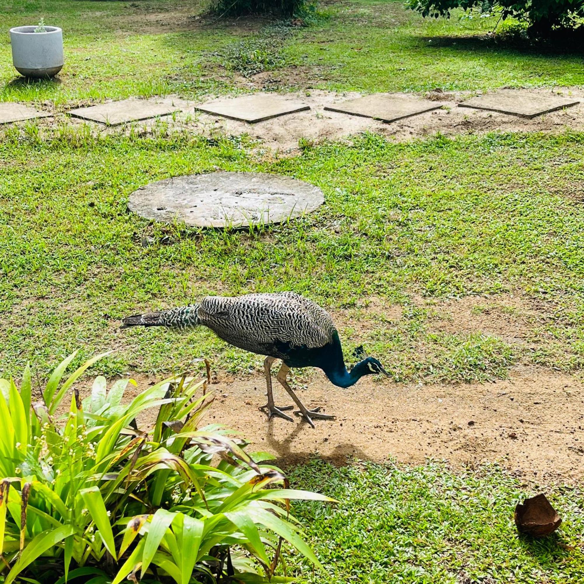 Hanguk Lanka Lagoon Villa Tangalle Luaran gambar
