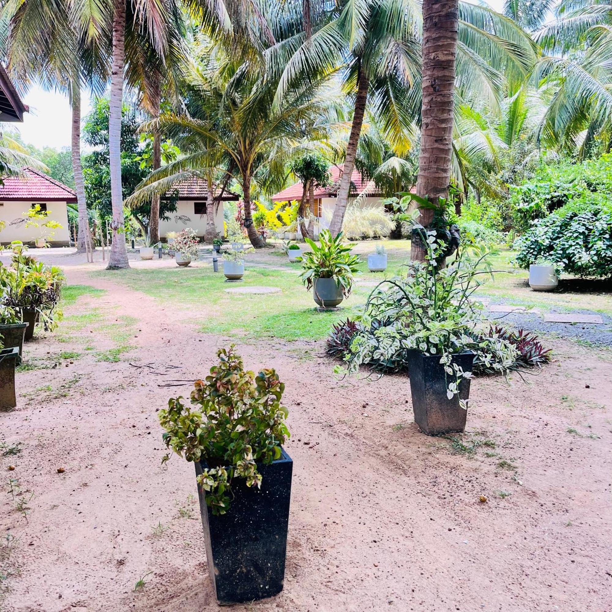 Hanguk Lanka Lagoon Villa Tangalle Luaran gambar