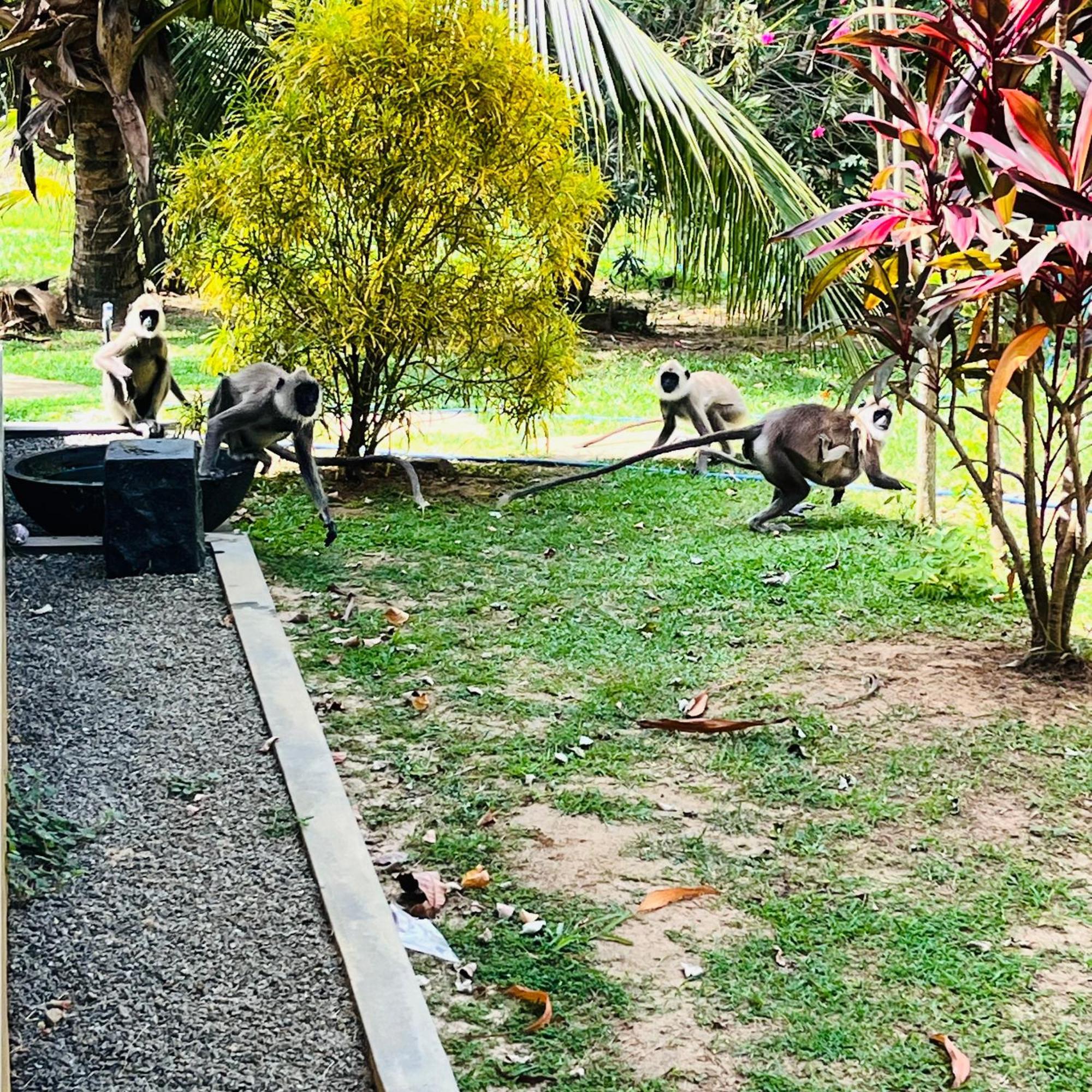 Hanguk Lanka Lagoon Villa Tangalle Luaran gambar